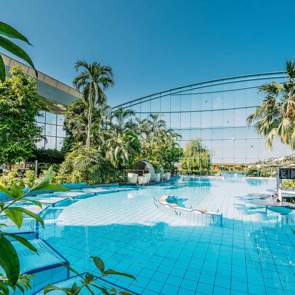 Außenbecken der Vitaltherme in der Therme Erding mit Palmen unter der Glaskuppel