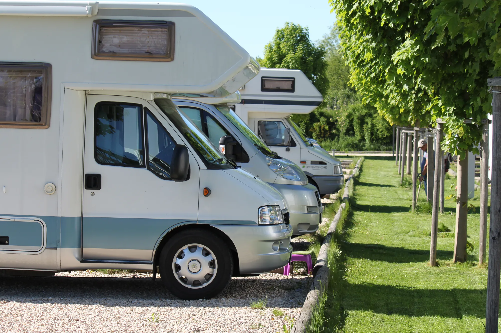 Wohnmobile nebeneinander auf den Stellplätzen, daneben ein Rasenstreifen mit jungen Bäumen
