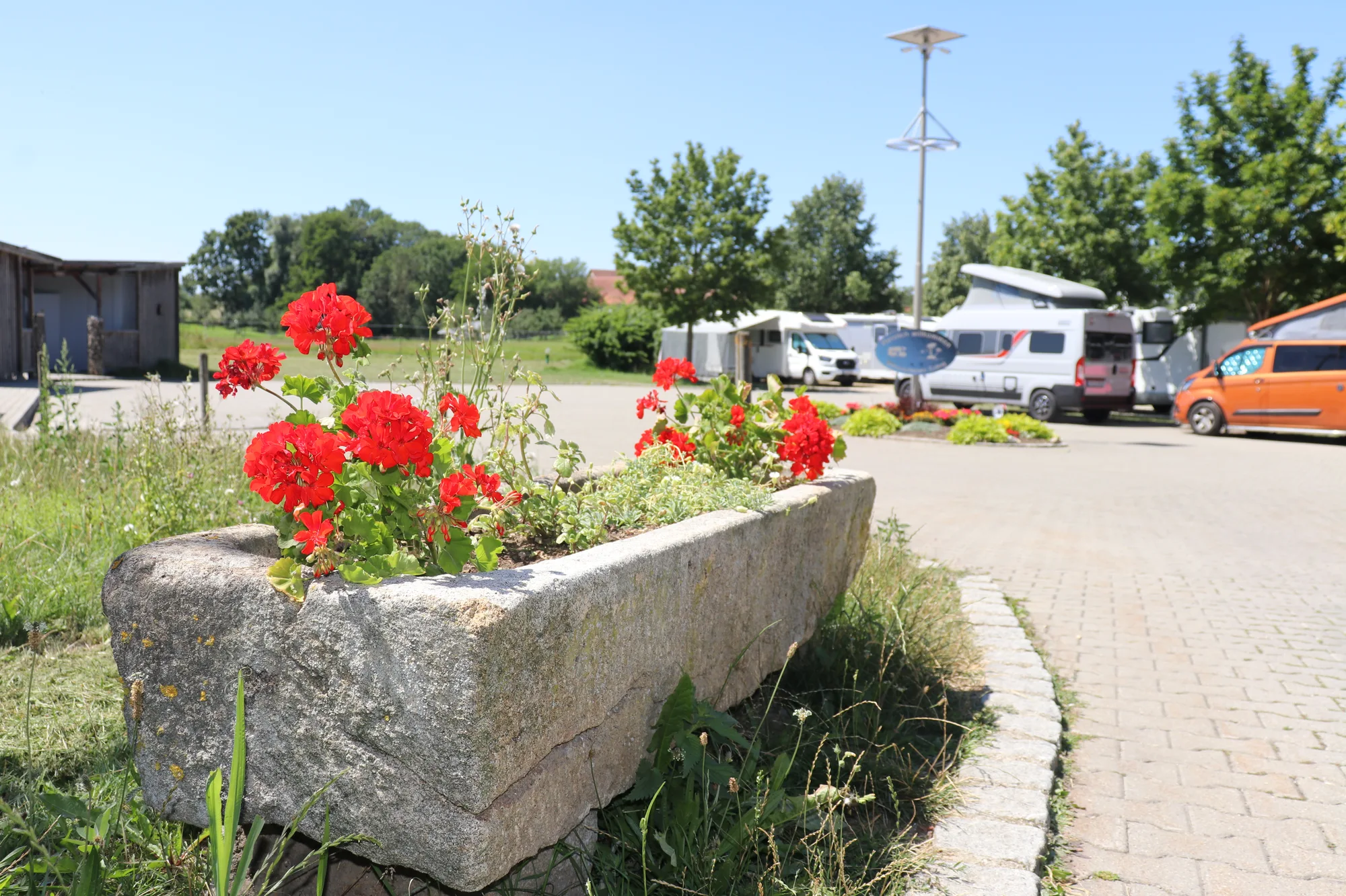 Steintrog mit roten Geranien auf der Blumeninsel im Wohnmobilpark Erding