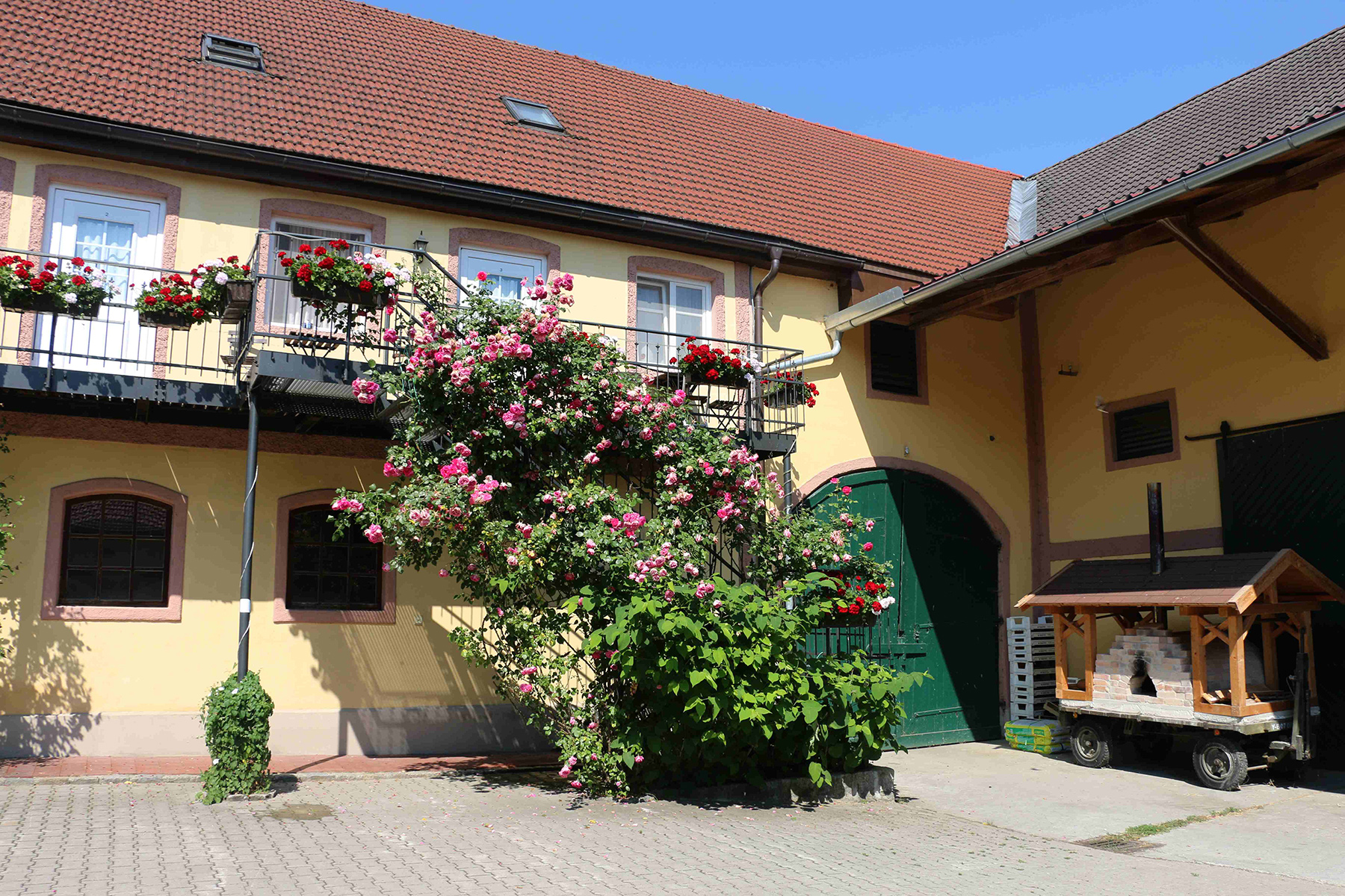 Innenhof des Gersthofs mit blühendem Rosenstock am Balkon und grünem Scheunentor