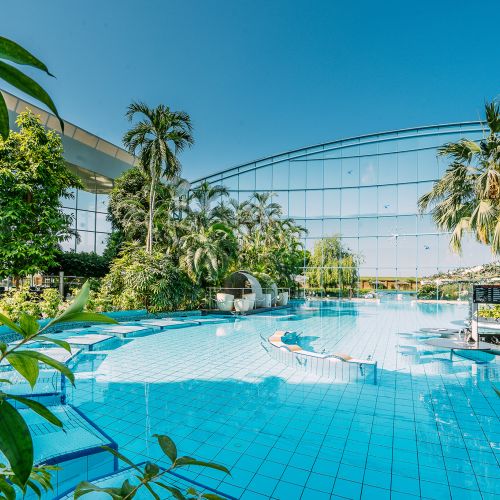 Außenbecken der Vitaltherme in der Therme Erding mit Palmen unter der Glaskuppel